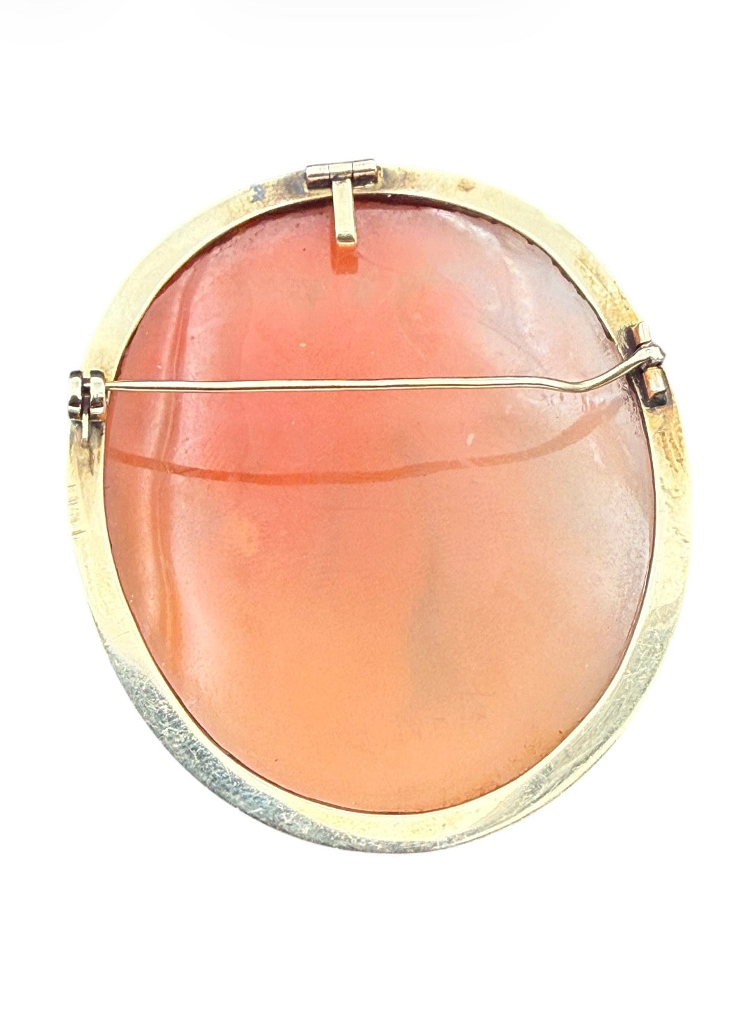 Vintage Conch Shell Brooch/Pendant with 14K Gold Frame