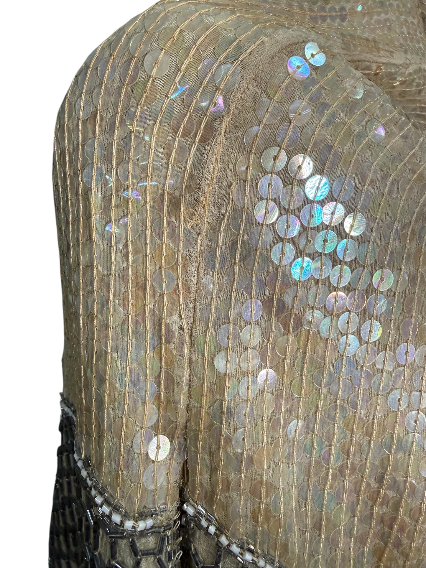 1970s ShoMax Beige Iridescent Sequined Silk Gown